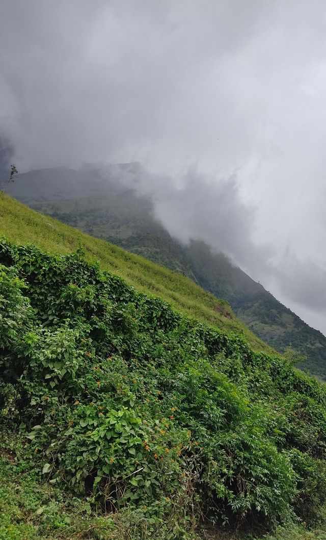 mountain