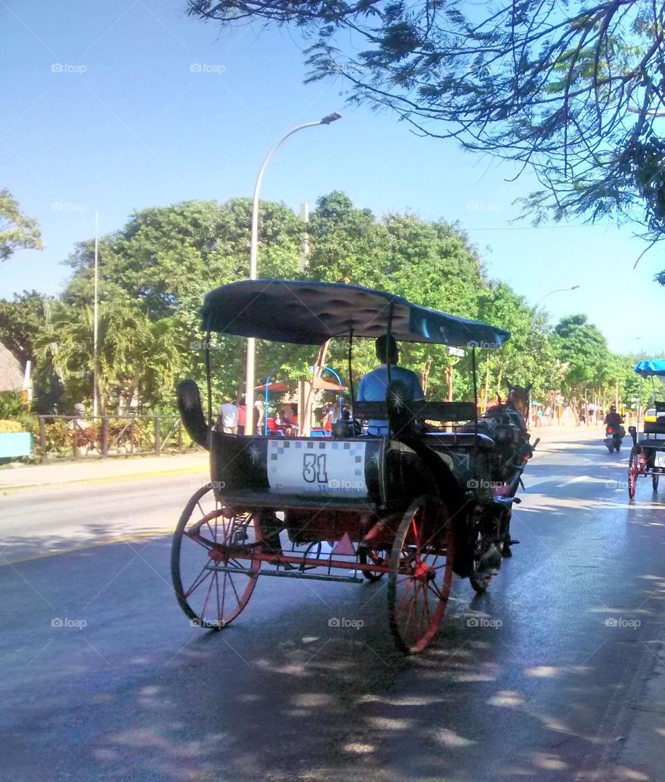 decorative float, wheels, horses, circle tourist