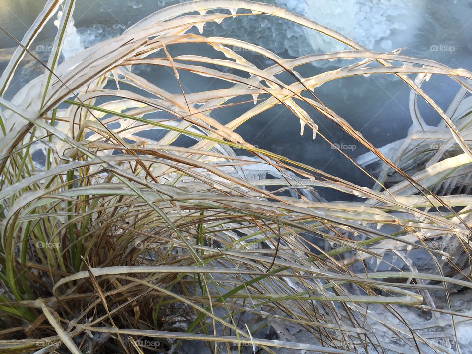 Close-up of frozen grass