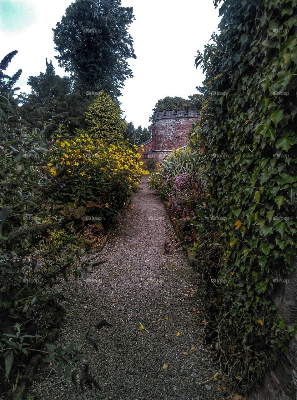garden path