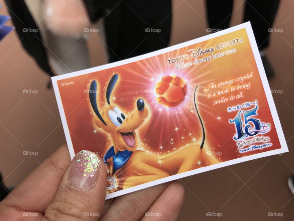 Disneyland Japan Tokyo, vacation, theme park, resort, ticket