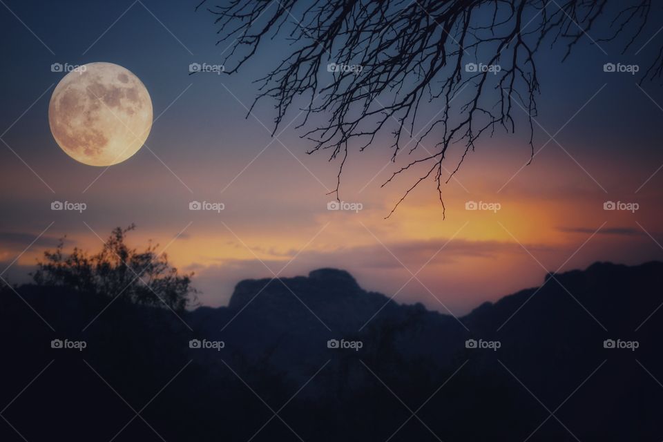 the moon rises and the sun sets.  the color of the sky. the mountain and the silhouette of branches.