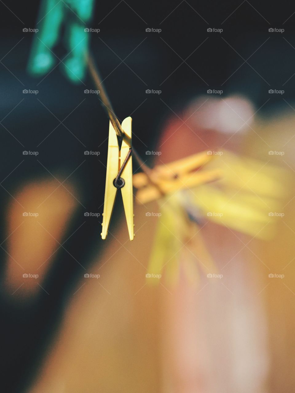 Blur, Dof, No Person, Outdoors, Still Life