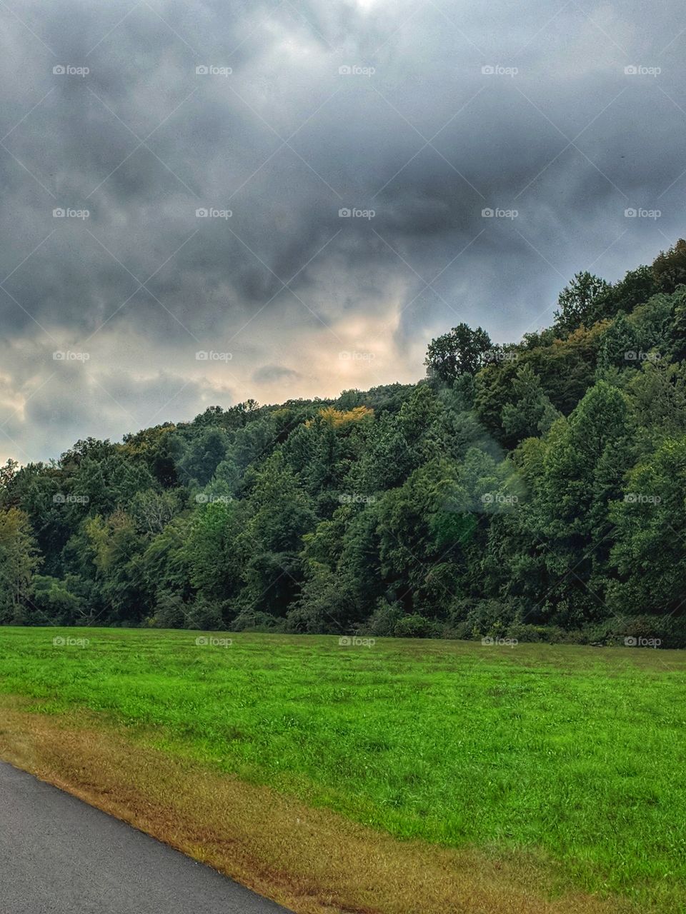 a little bit of street, then to the field, on up to the trees then straight up to the sky.