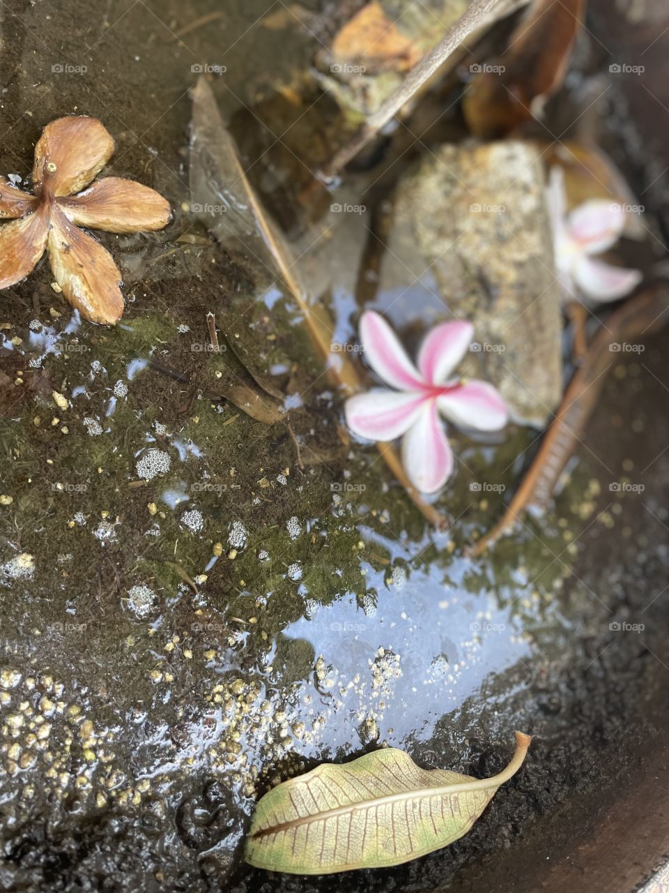 After the rain comes beauty 