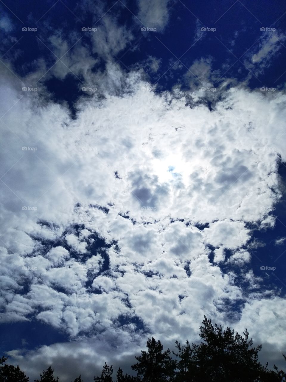 Sky
