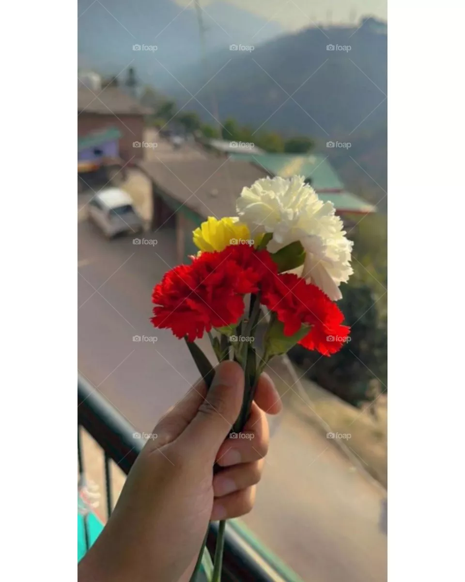 Flower in hand