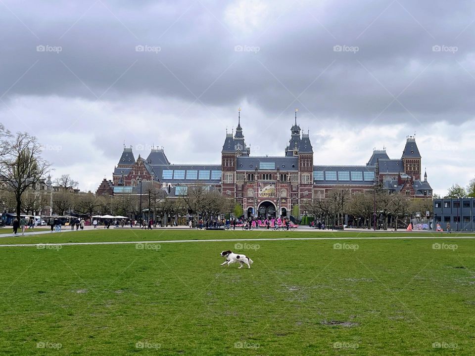 Walking with the dog: city park walk on a cloudy day with Rijks museum on the background 