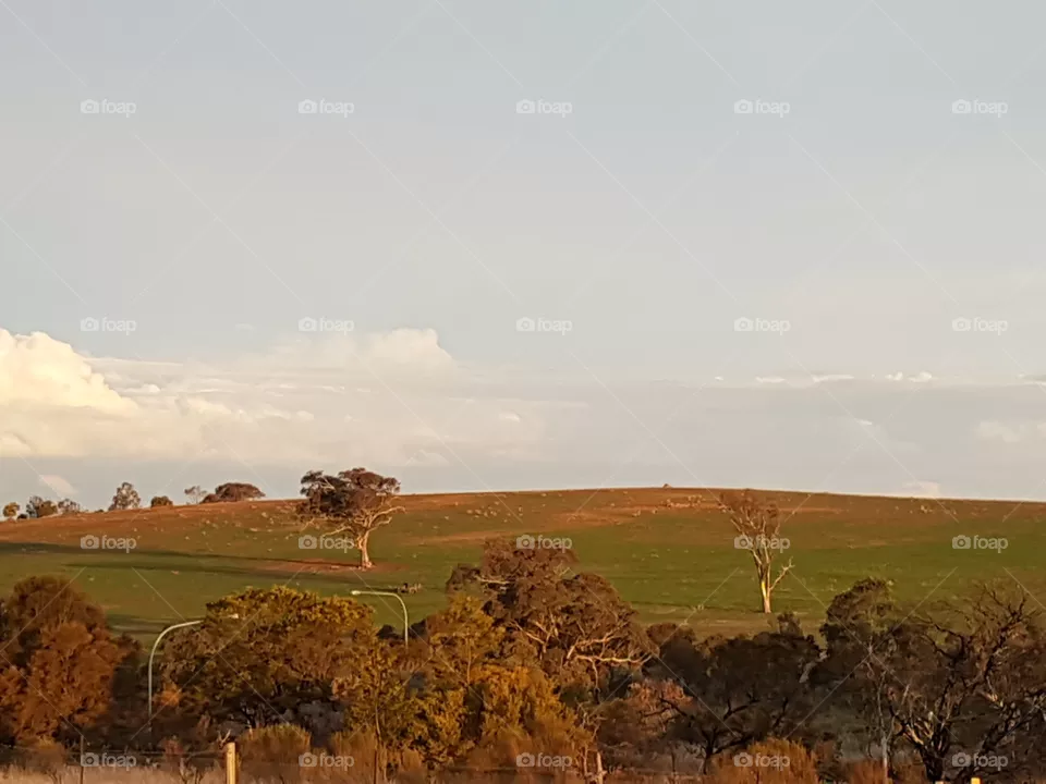 Rural