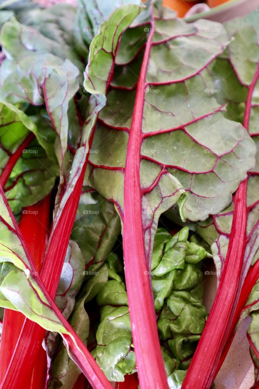 Red Mangold leaves 