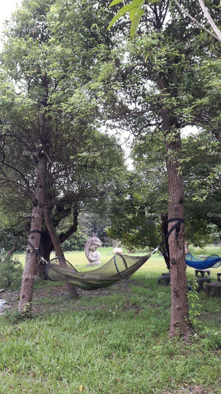 relaxing view in a  park mountain park