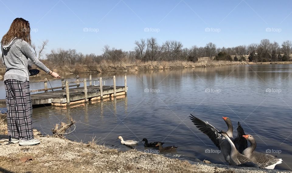 Outside, Spring, Young Lady Feeding the Ducks and Geese