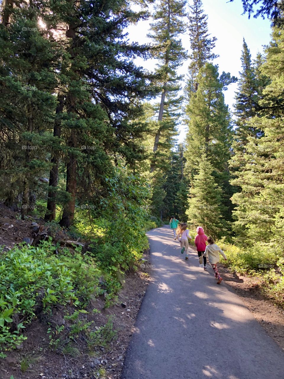 Children running on a paved trail in a forest