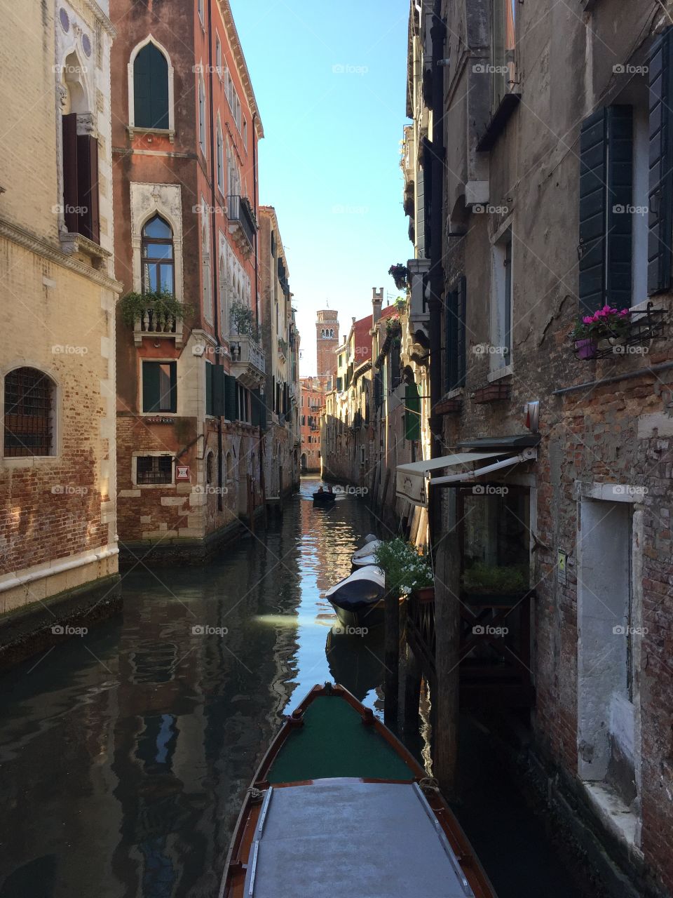 Spring in venice