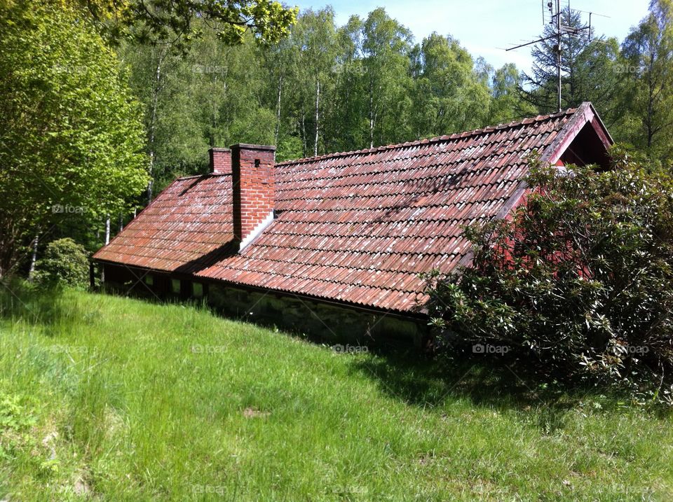 Hus i backe. Hus i backe