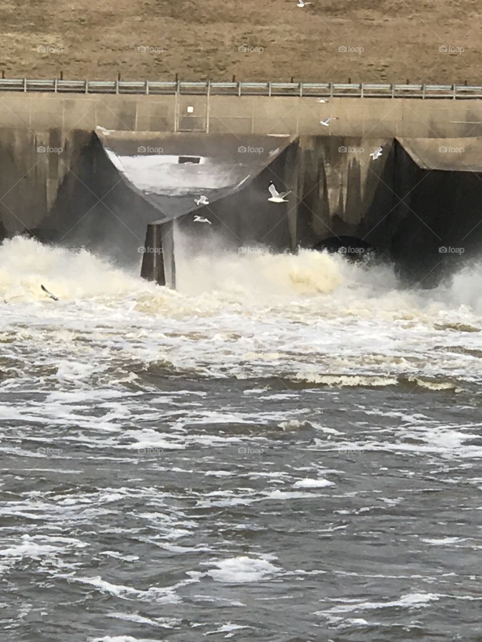 US Army Corps of Engineers Oologah , Oklahoma Dam flood gates open at January winter water release with icing on dam concrete, birds seagulls searching turbulence in channel of roaring water for fish