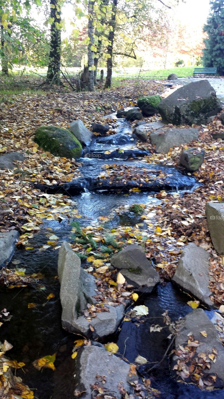 Stream in a park during fall