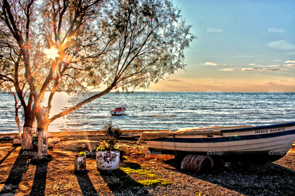 tree boats shadows seaside by pablogarcia