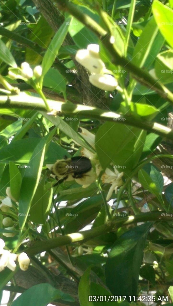 Beautiful Creatures:)