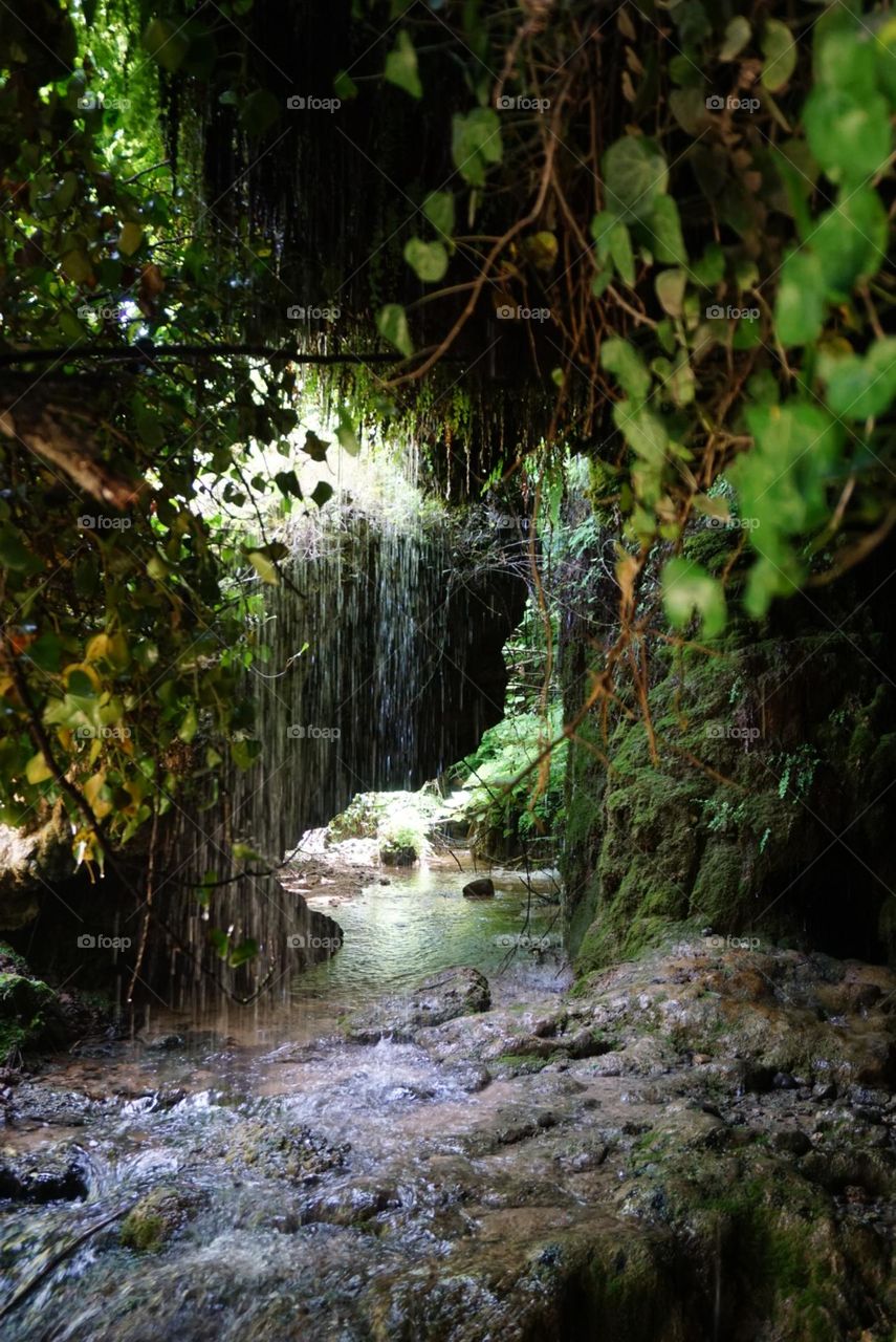 Caves#nature#greengrass#water#drops