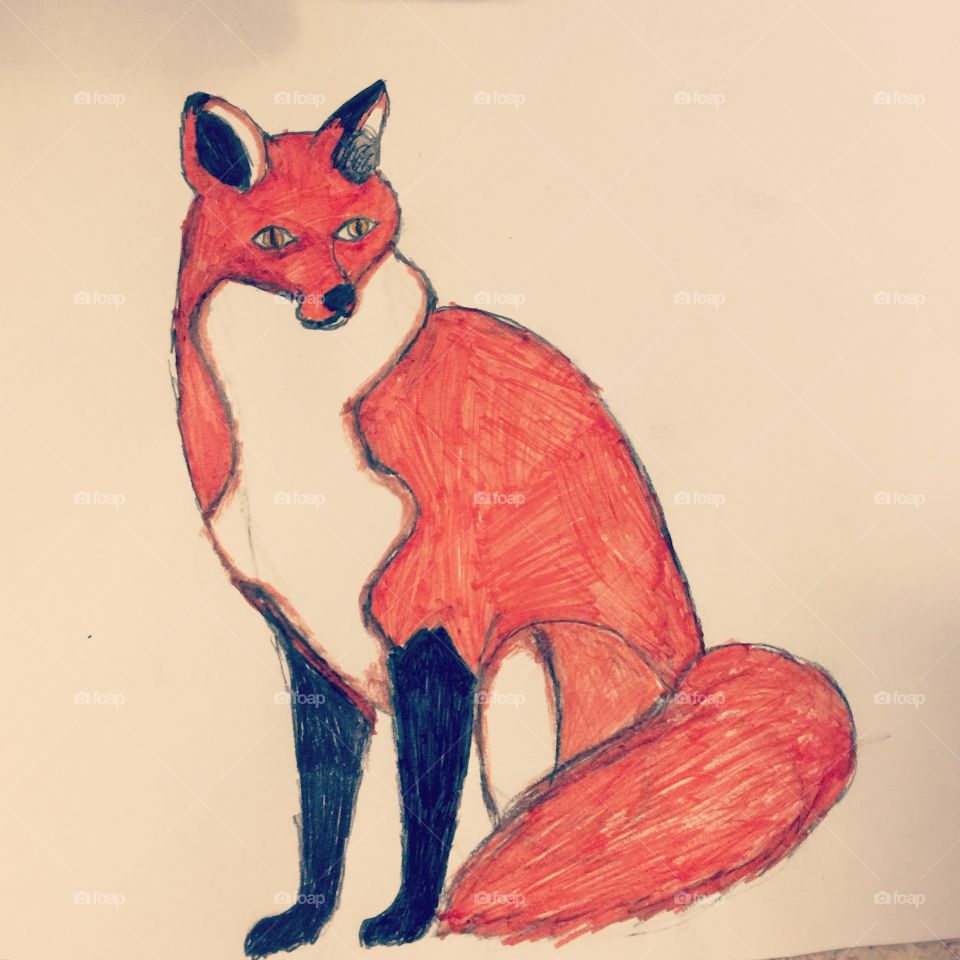 My foxy doodle