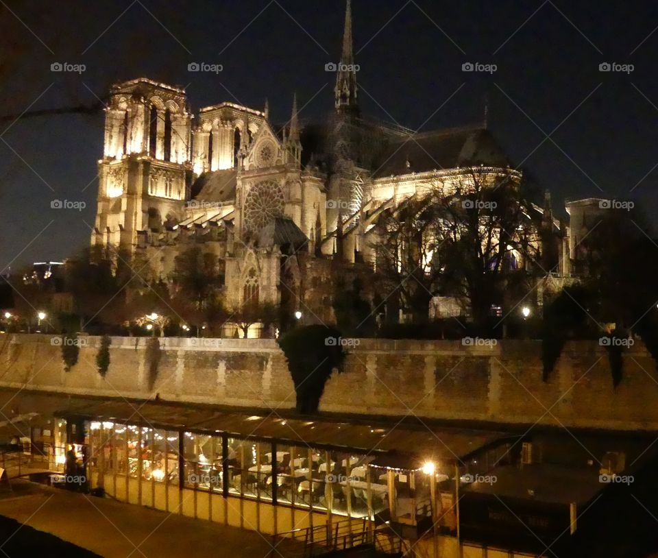 Amazing photos I took March 2019 of Notre-Dame Catholic Cathedral, one of France’s greatest National Monument, before it was ravaged by fire 🔥