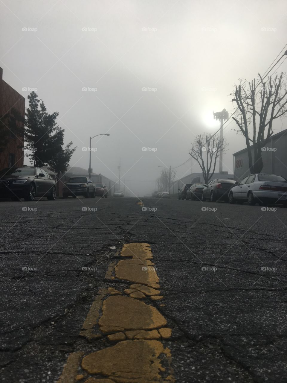 Fog of the world