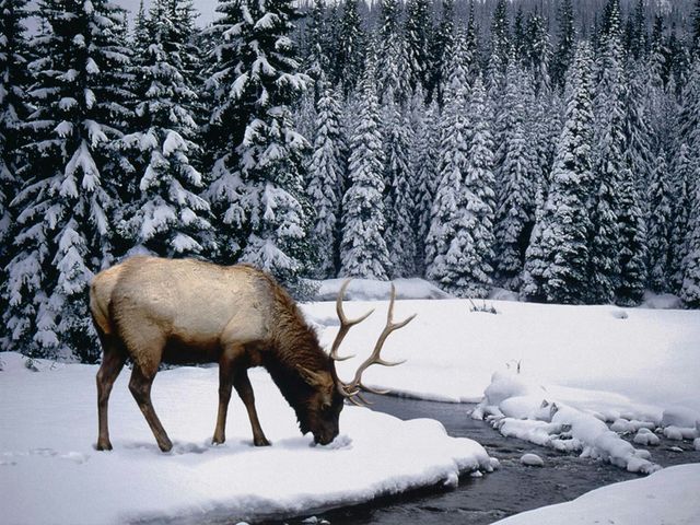 nature