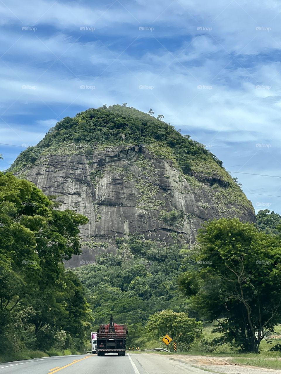Rick mountain with vegetation 