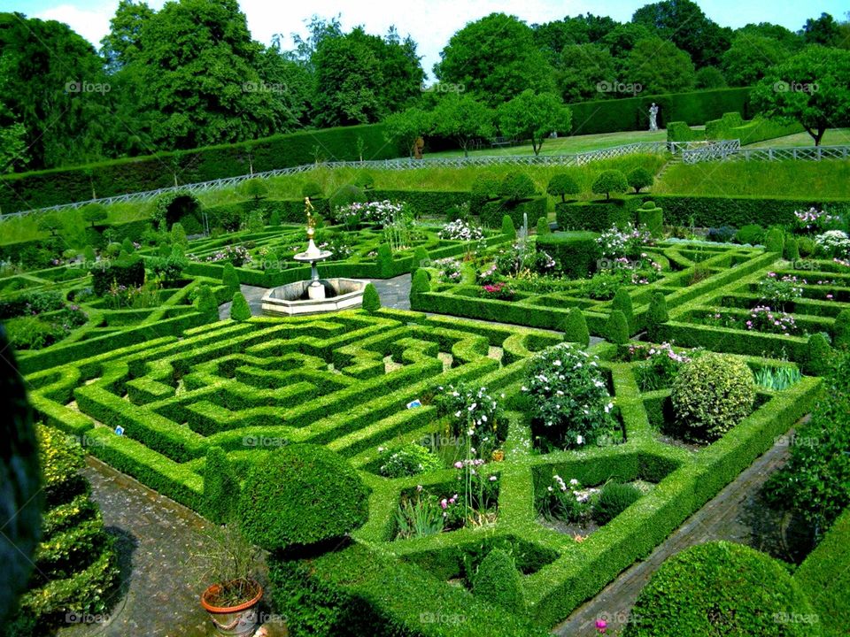 Зеленые лабиринты