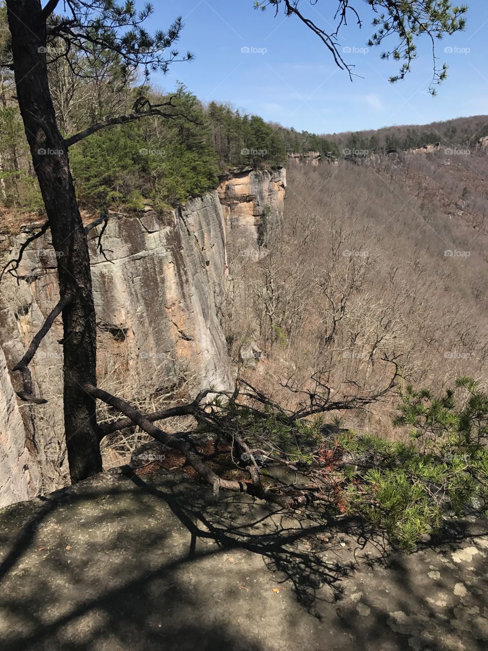 Endless wall trail, West Virginia 