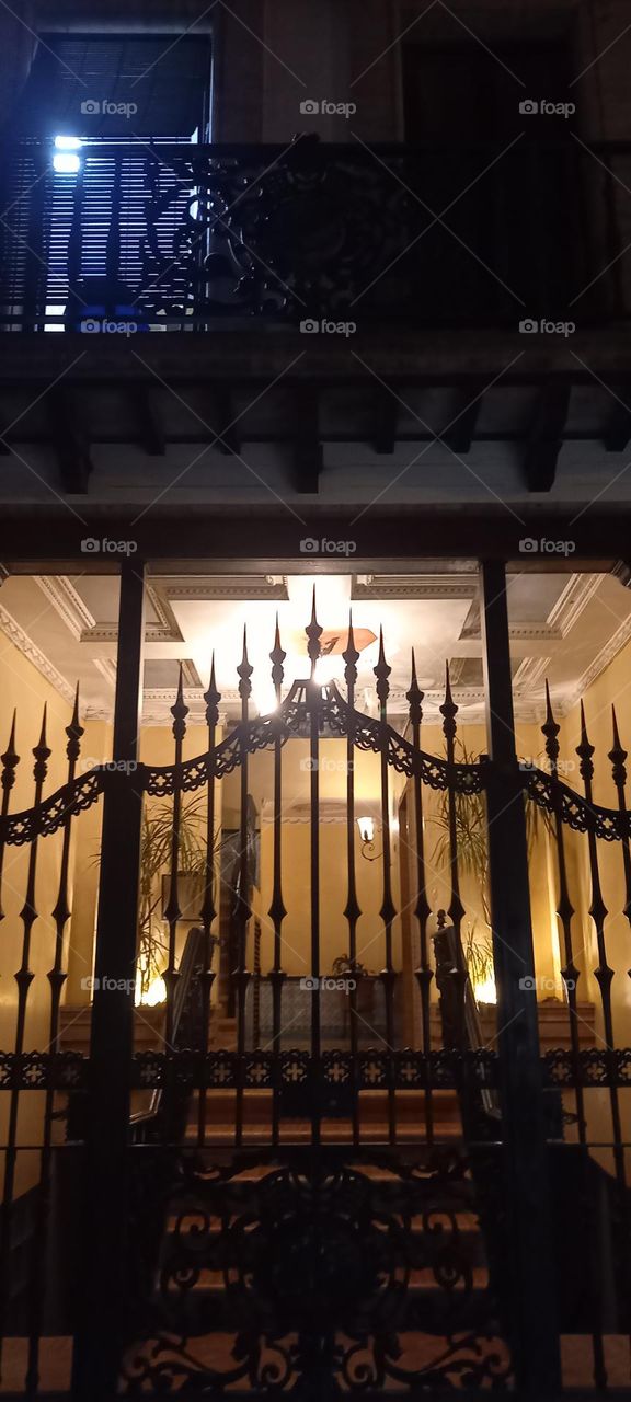 Reja entrada casa clásica