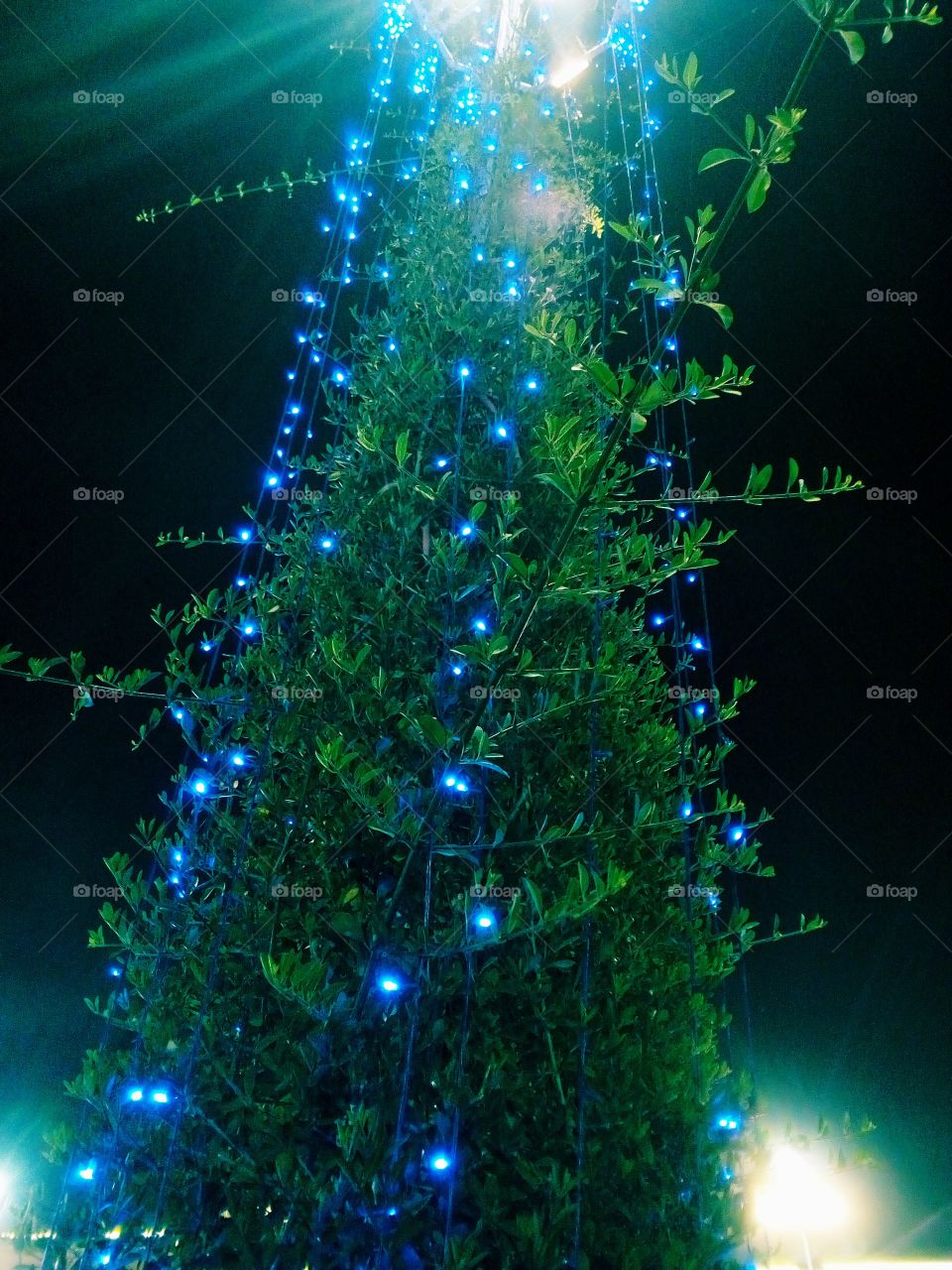 Light tree