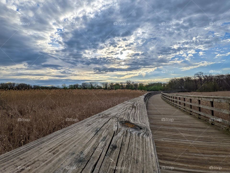 A beautiful day for a walk through the metroparks