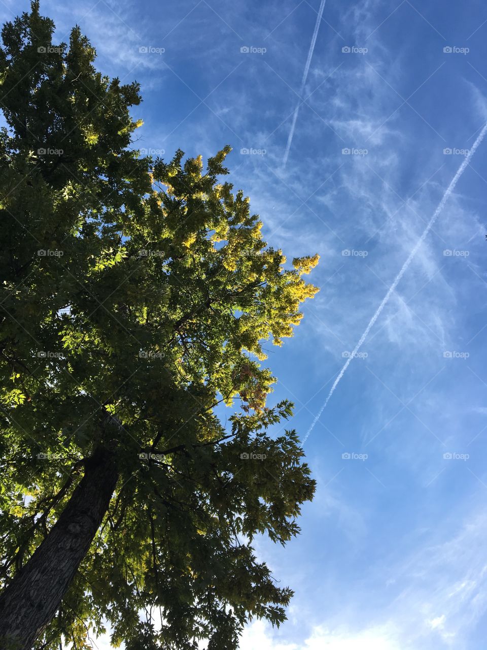 Air Streak. A beautiful morning sky in Denver, CO
 