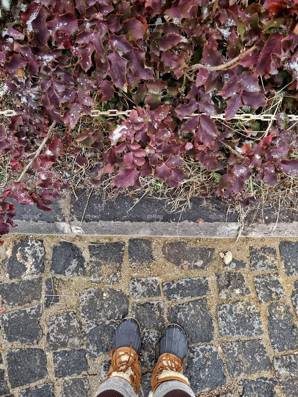feet on plants and ground