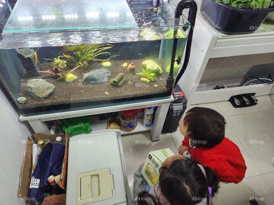 Kids are looking at fish in the fish tank