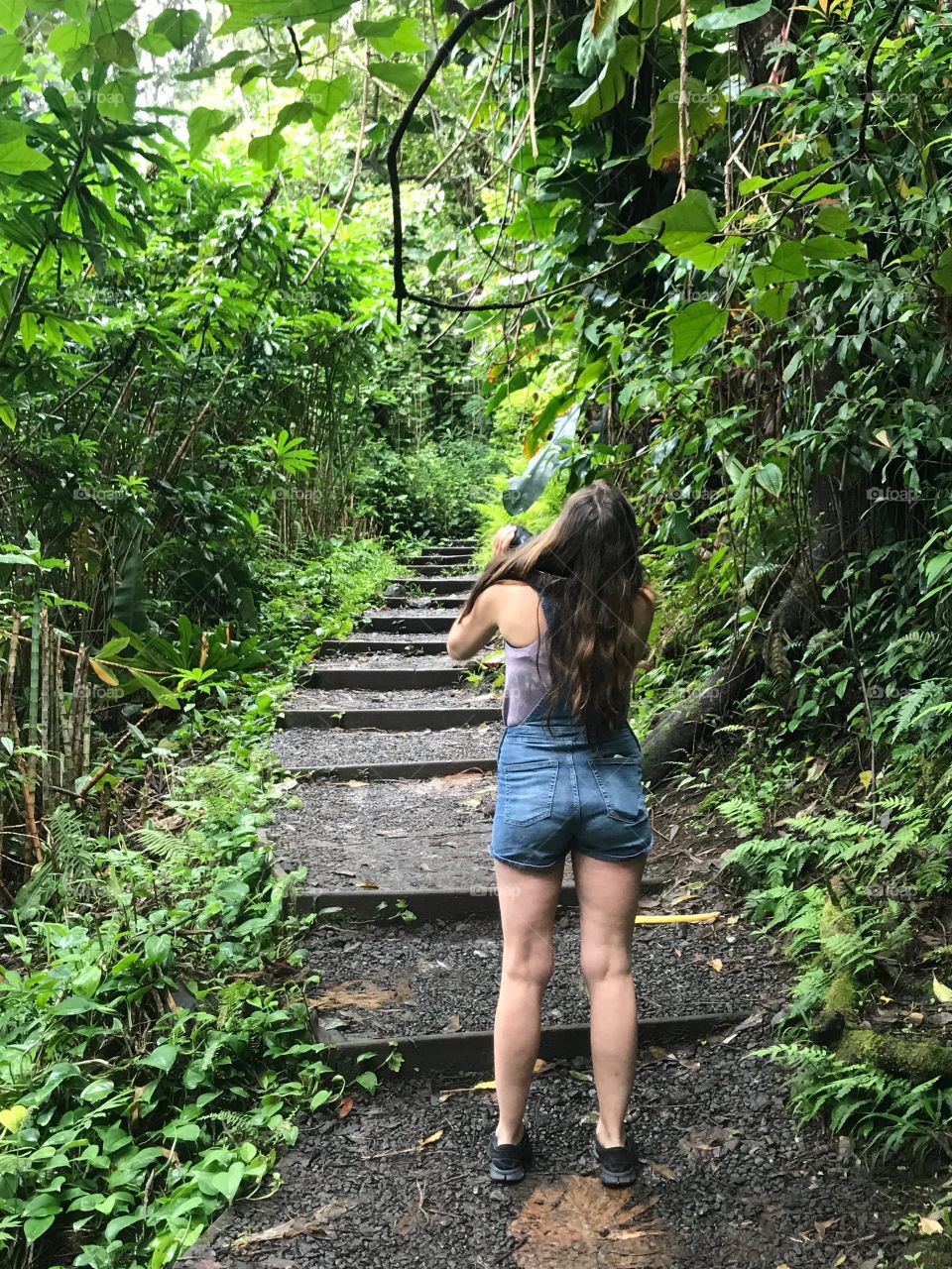 Photographing the botanicals of Hawaii.