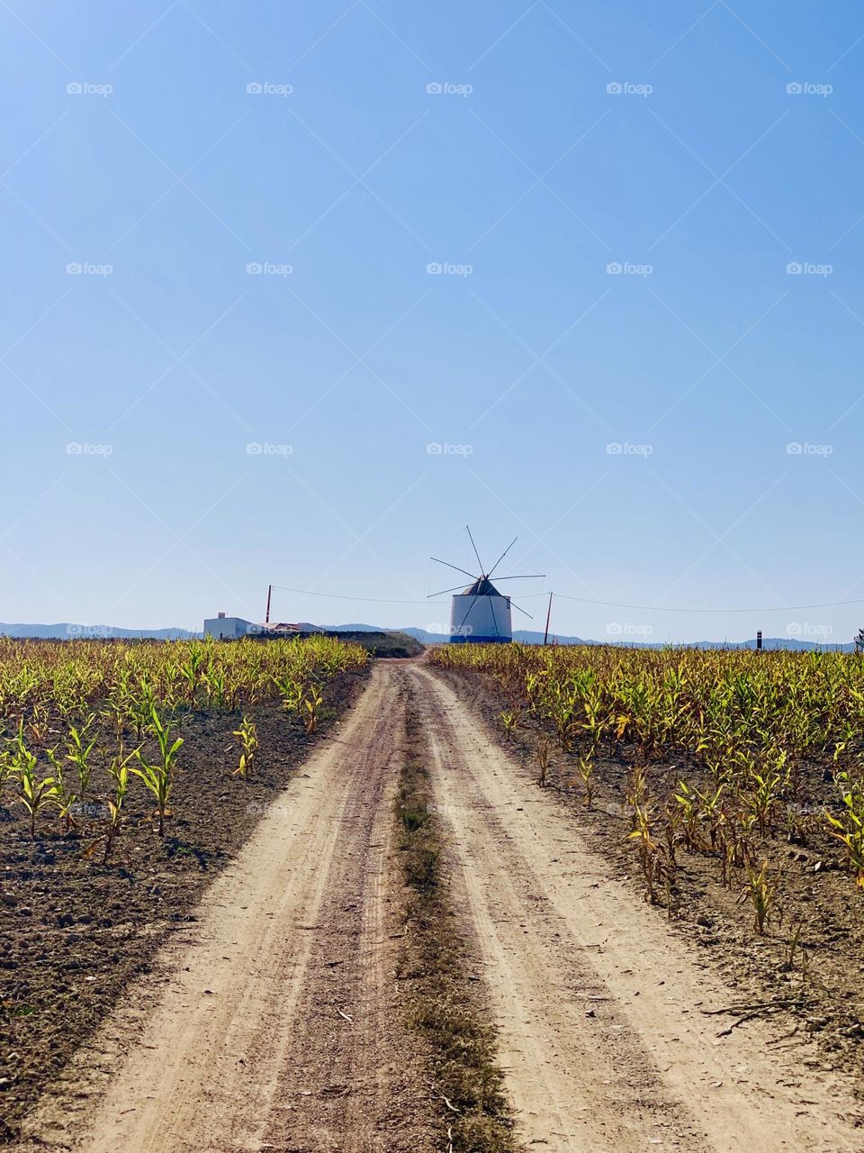 Windmill 