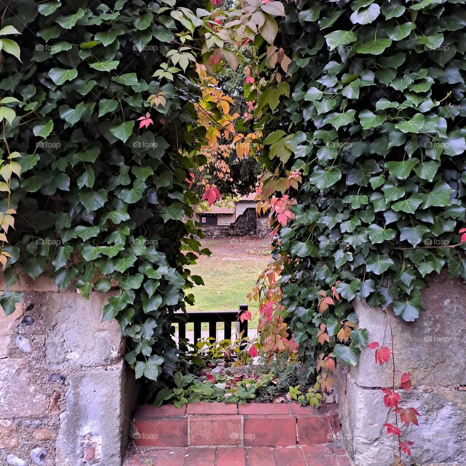 old building ruinswith foliage through its window and bench the other side. autumn