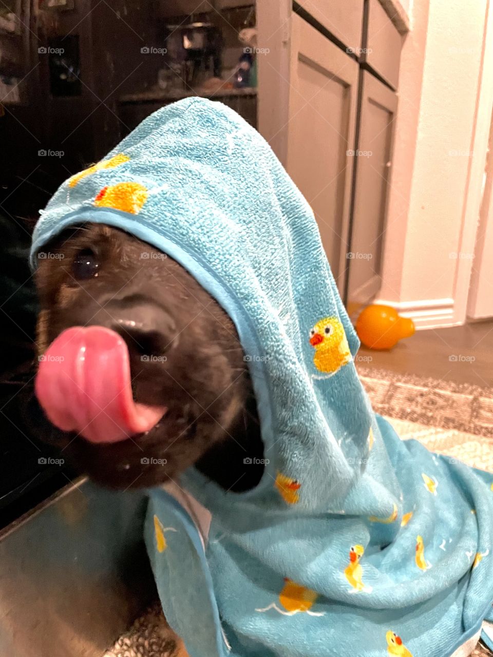 Post jumping in puddles photo 