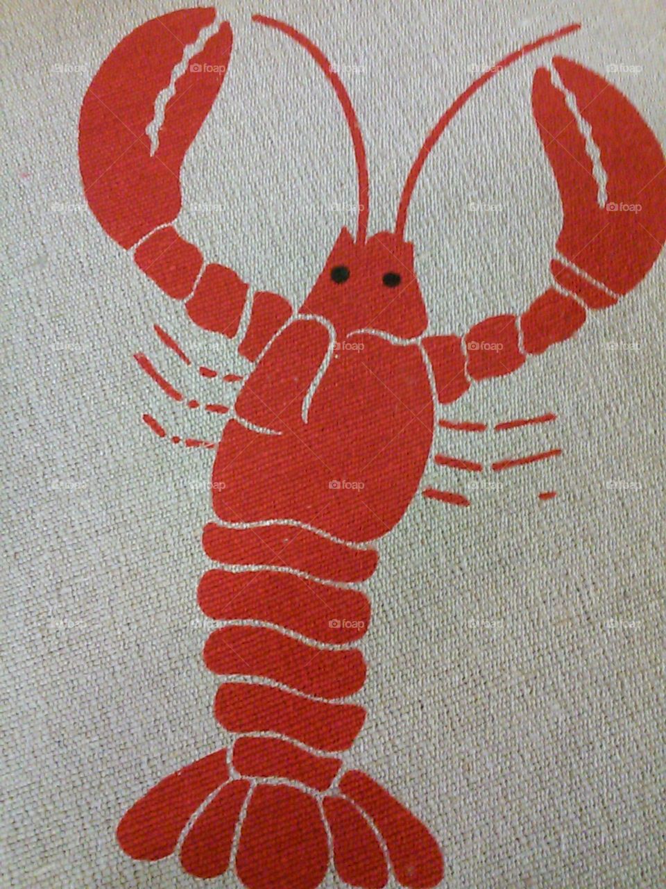 Lobster . the lobster red