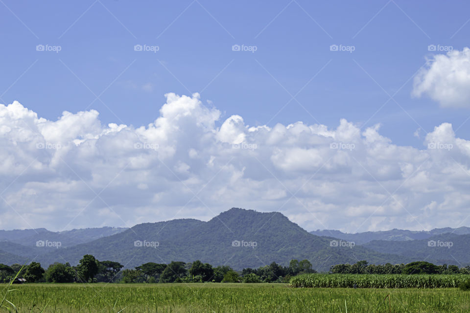 Trees and mountains on a bright sky.