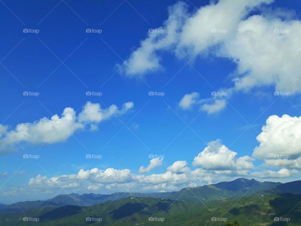 Nature photography, Ukhrul, Manipur, India