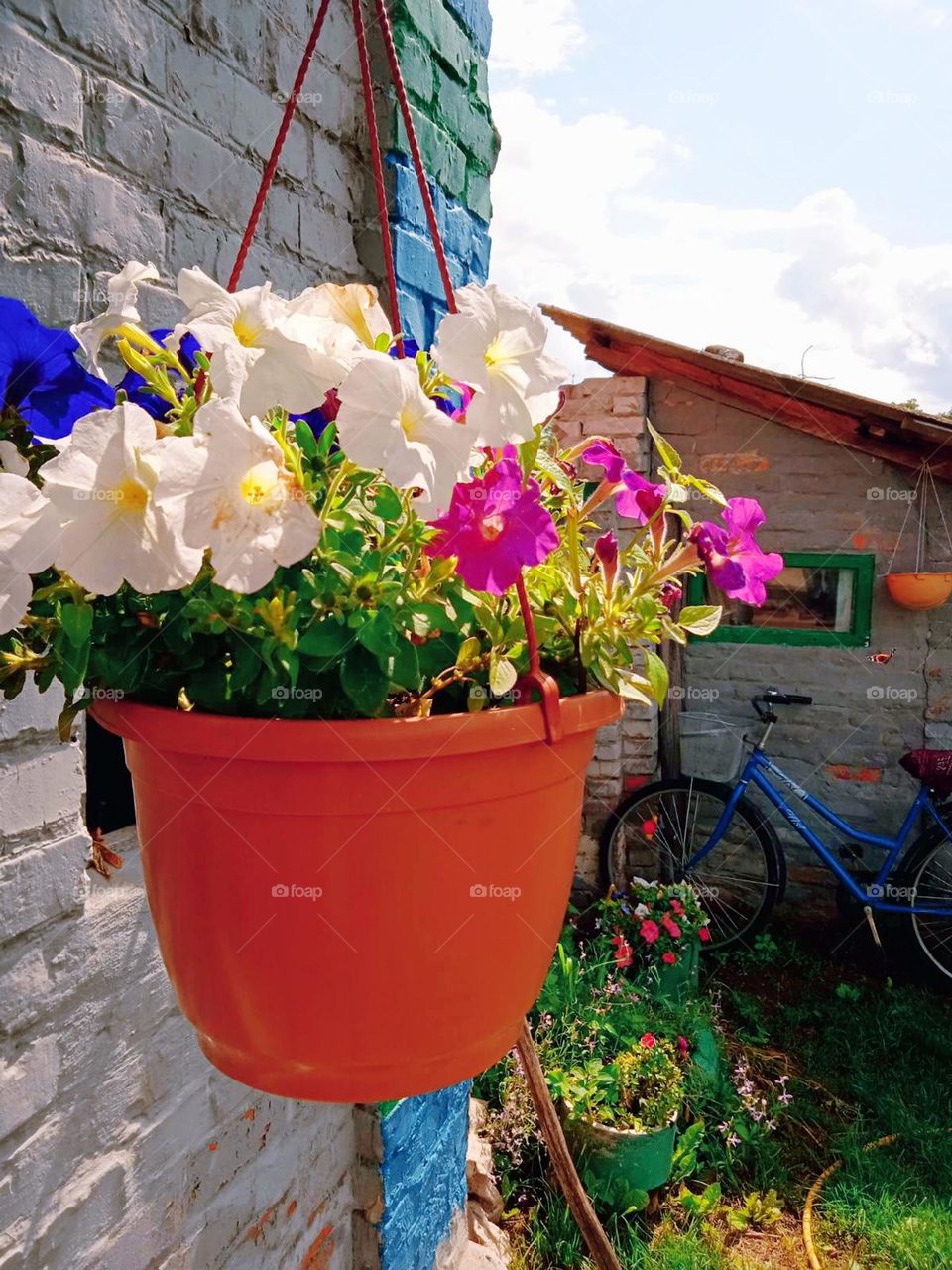 editors Choice photo on the week