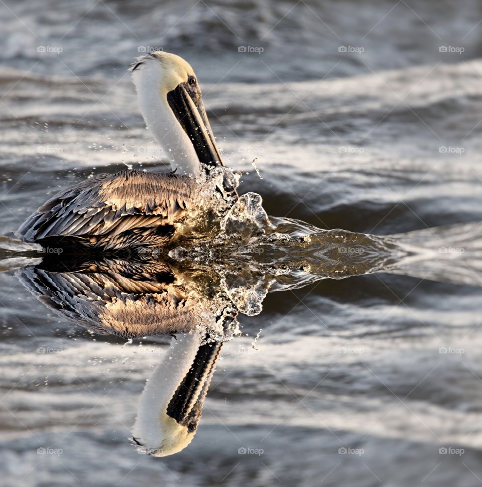 Splashing in the water