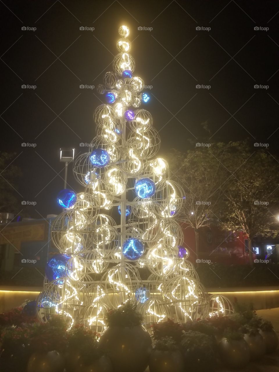 Christmas, Winter, Celebration, Light, Christmas Tree