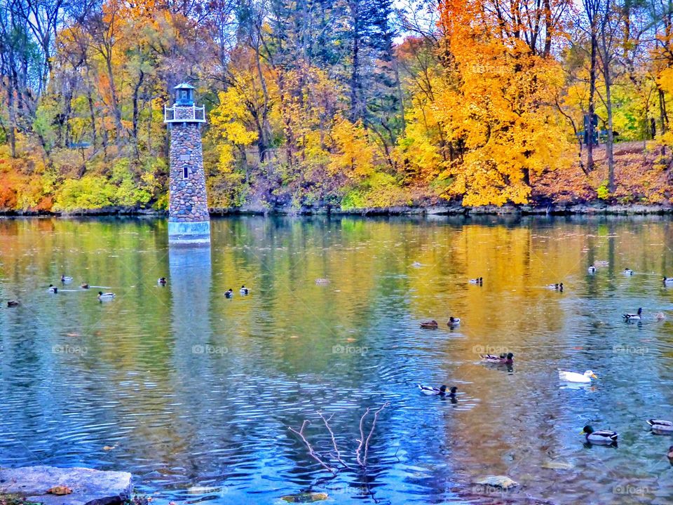 Fall lighthouse pond