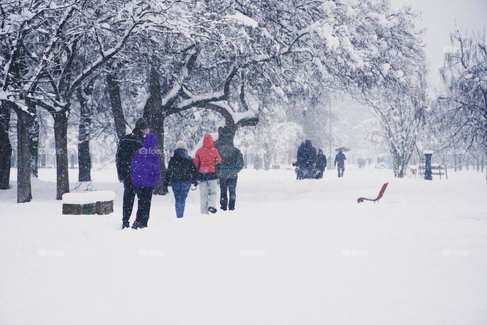 Snowing in the city