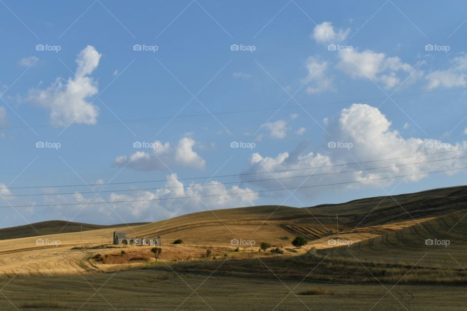 view of meadow